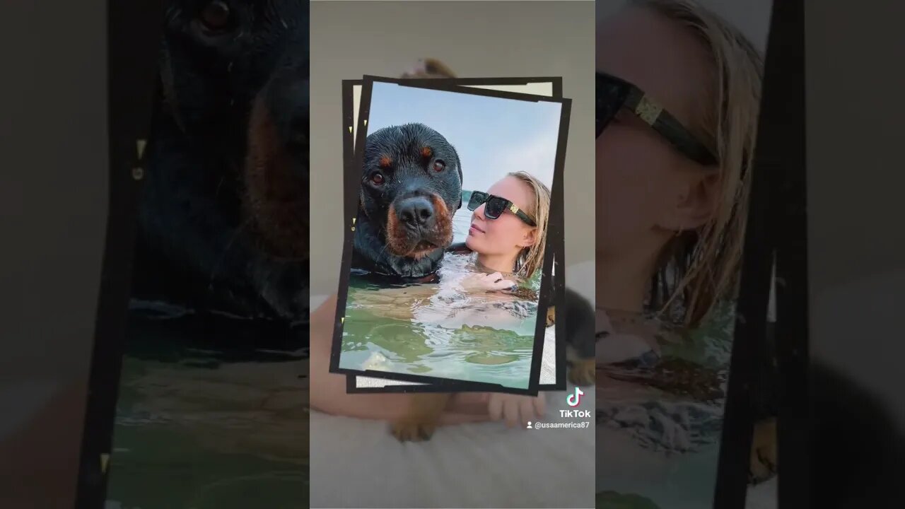 we love puppy dogs.