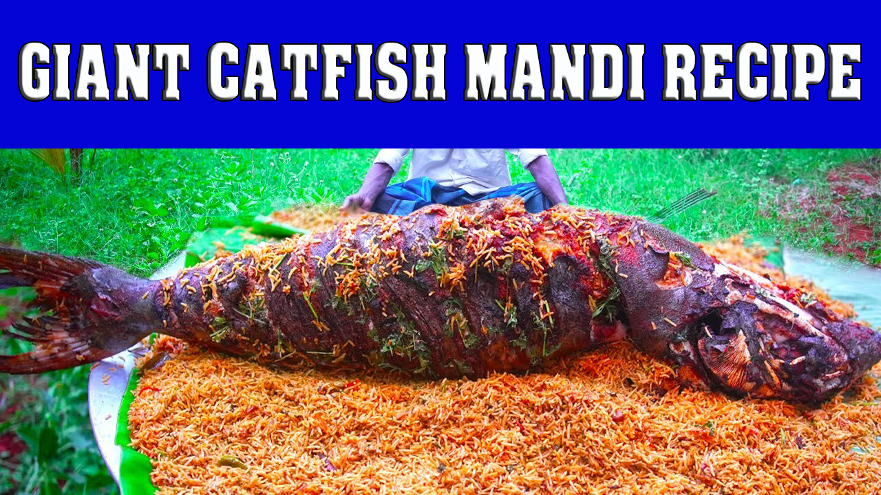 GIANT CATFISH MANDI RECIPE | Arabian Style Fish Biryani