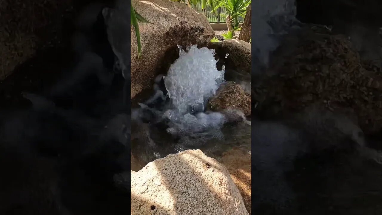 #asmr Tropical paradise? #water #watersounds #fountain #goprohero10black #satisfying #Arizona