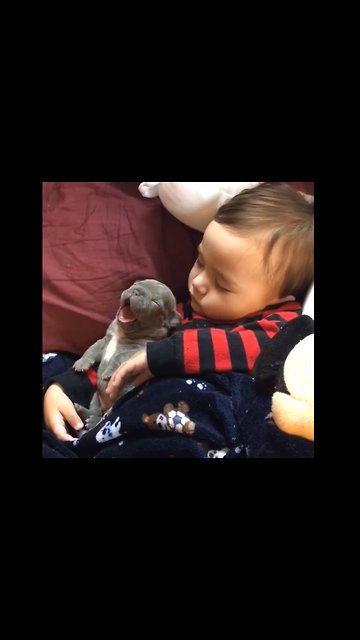 Little Boy Smothered In The Puppy Love | Cuteness overload 😍