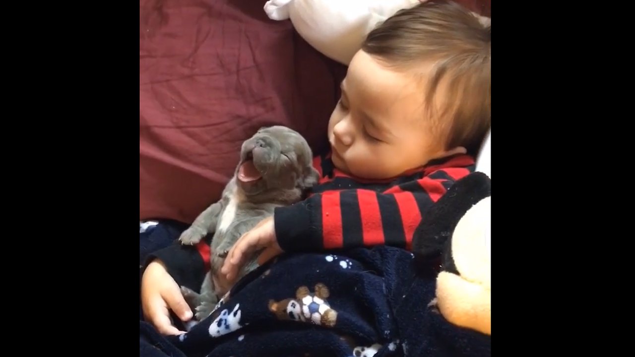 Little Boy Smothered In The Puppy Love | Cuteness overload 😍