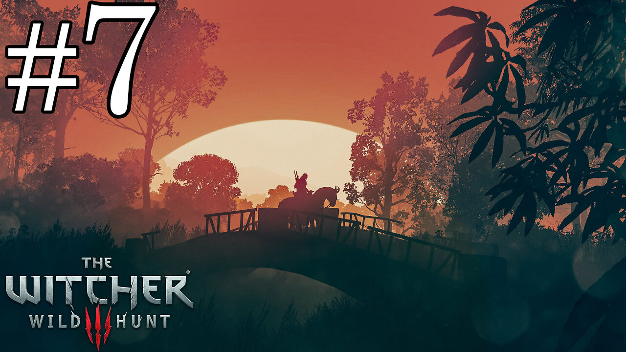 The Witcher 3: Wild Hunt - Parte 7: Intrigas e Conspirações, Além das Missões Secundárias