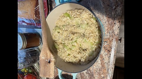 Zucchini and Orzo Pasta Oh My