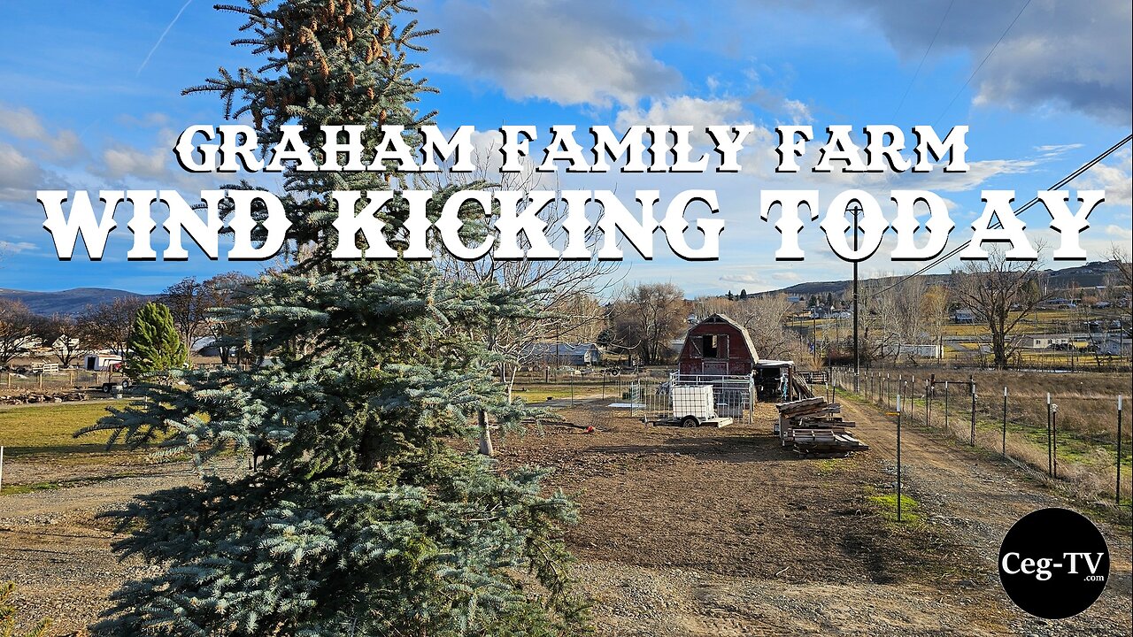 Graham Family Farm: Wind Kicking Today