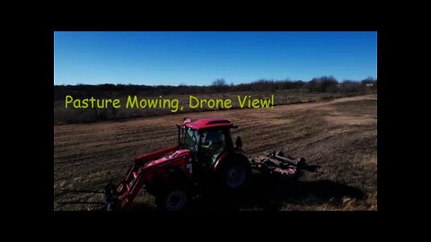 Feeding Cows, Mowing Pasture - Drone View, Baby Cuteness!