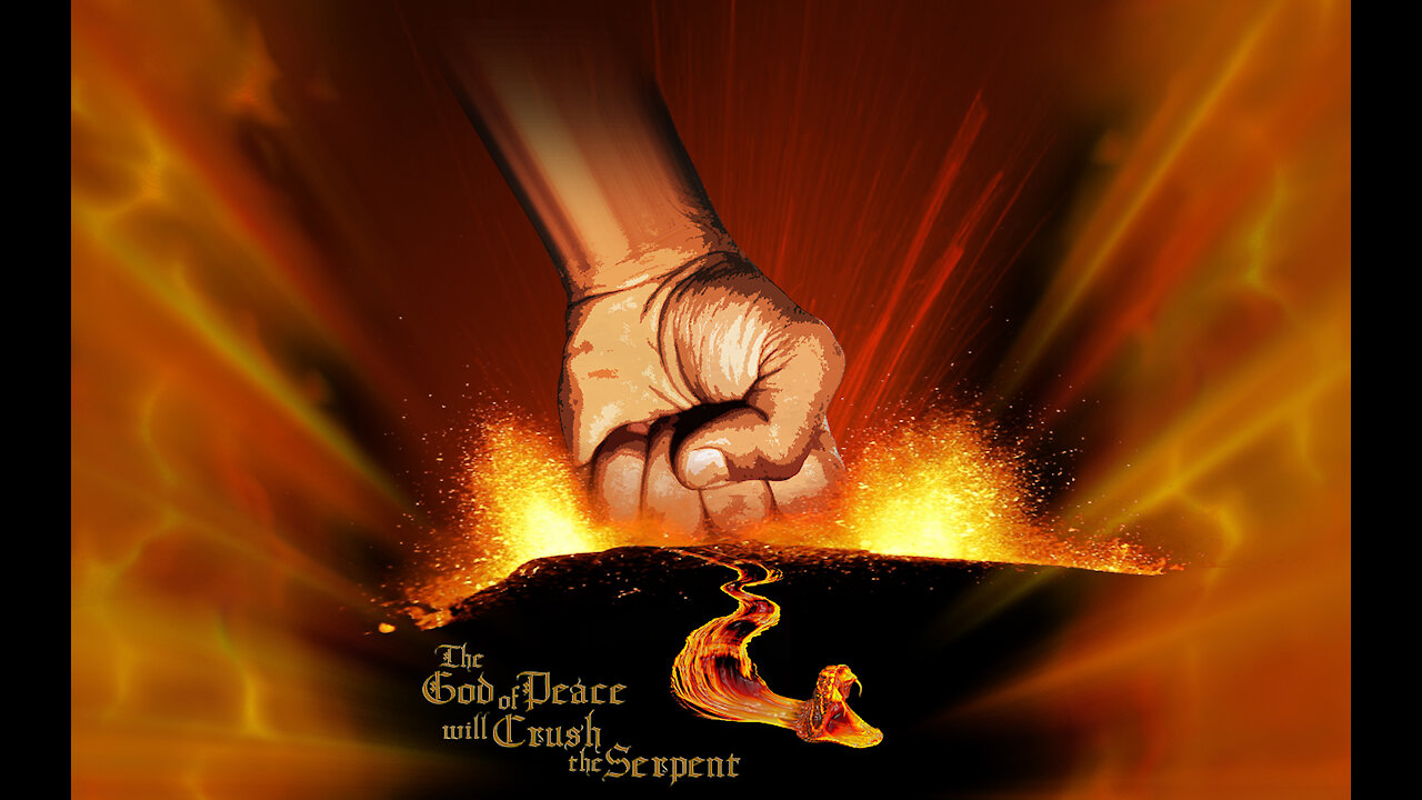 THIS is how we beat the NWO!