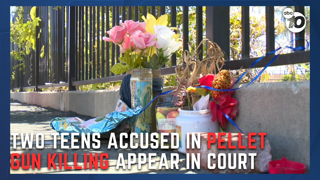 Teens plead not guilty to killing homeless woman