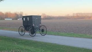 Man installs engine in Hamish buggy