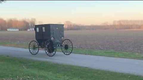 Man installs engine in Hamish buggy