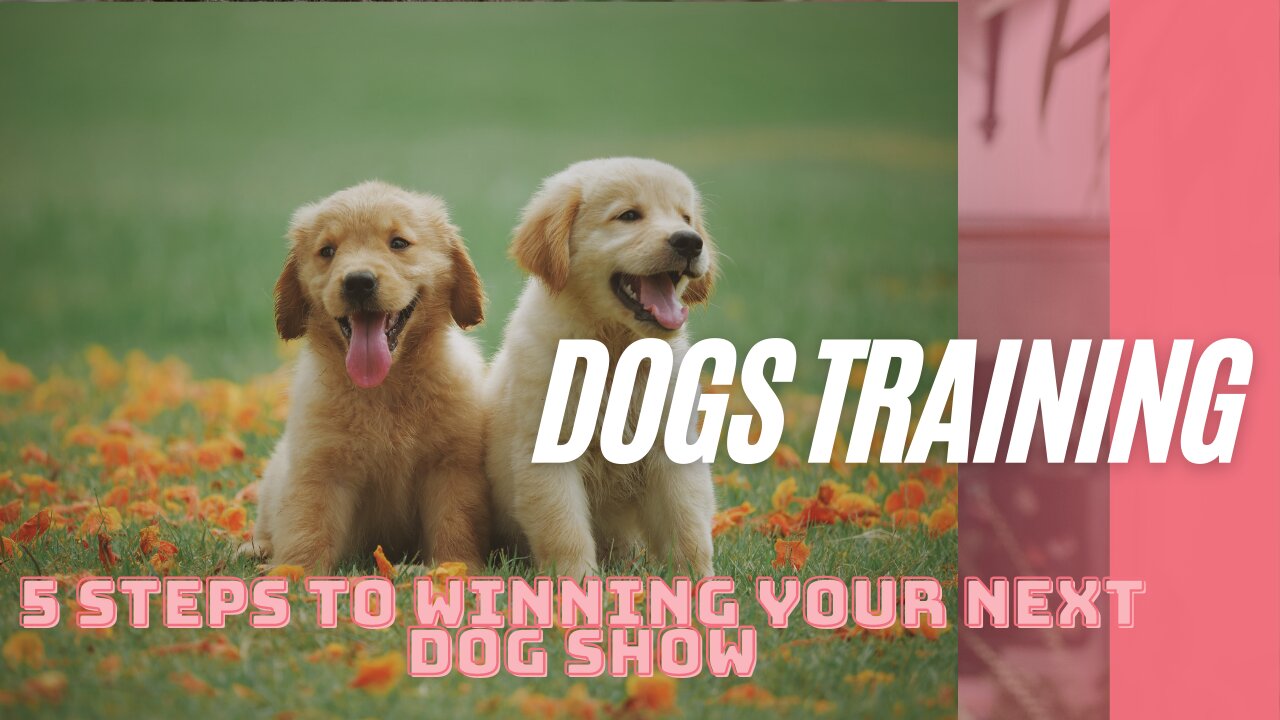 5 Steps to winning your next dog show, with Eric Salas ! Dogs Training