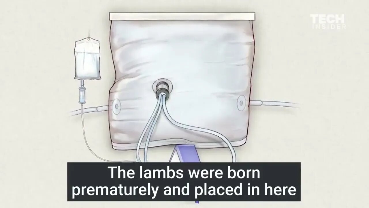 Lab Grown Fetuses are No Longer A Conspiracy