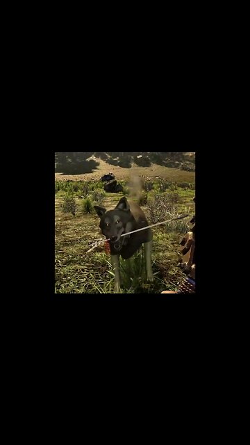 Wolf Catches Arrow ??? Almost gets archer. | 7 Days To Die | Wasteland Mod #7dtd #wasteland