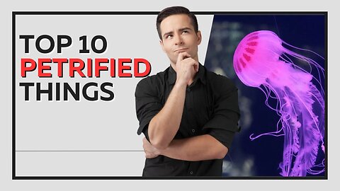 Top 10 Petrified Things