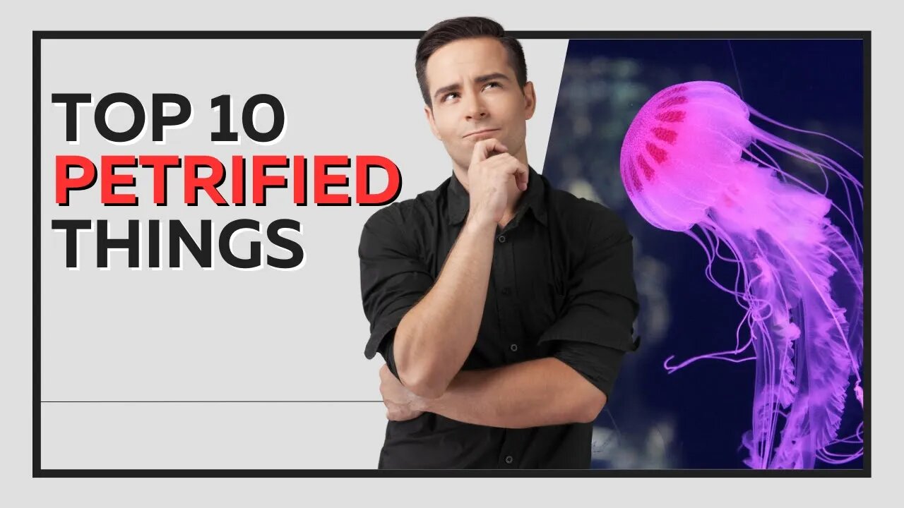 Top 10 Petrified Things