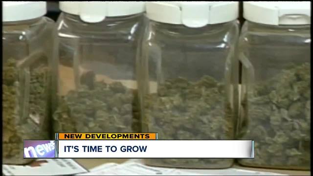 Medical marijuana facility in Eastlake gets green light to begin growing