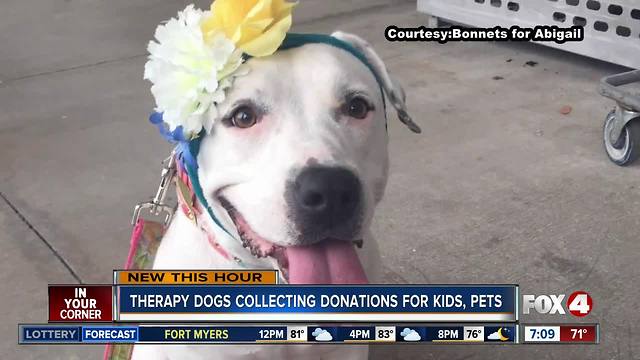 Therapy dogs collecting donations for needy kids, pets in SWFL