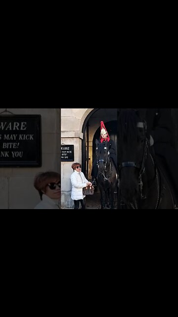 She touches the rein guard shouts get off rein #thekingsguard