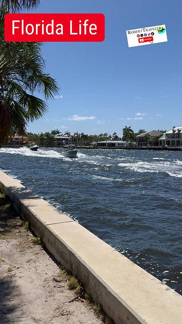 Florida Life 👌👍🌴 #floridalife #Florida #fortlauderdale #miami #RobertTraveler #boat