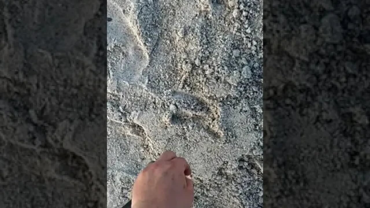 religious pendant beach metal detecting