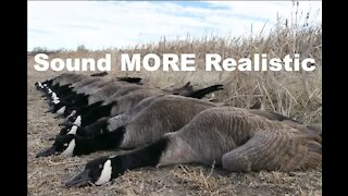 BEST goose calling tips for beginners 2