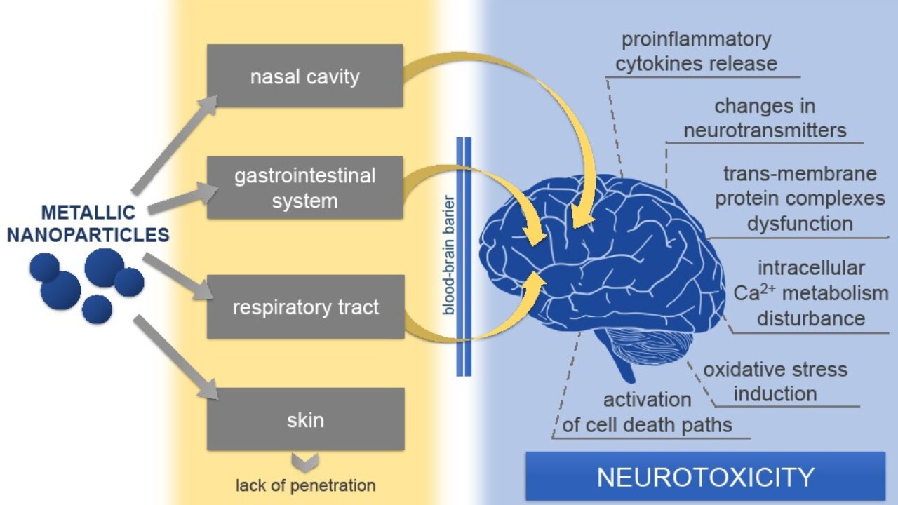 Nanotech - Brain Damage Epidemic