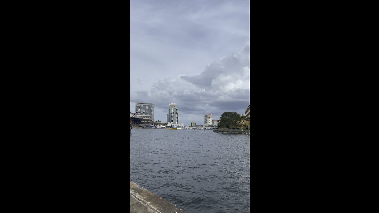 Worlds Longest Continuous Sidewalk along Bayshore Blvd in Tampa, FL 4K