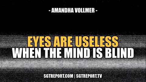 EYES ARE USELESS WHEN THE MIND IS BLIND -- AMANDHA VOLLMER