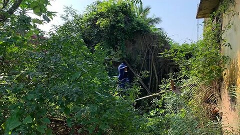 SHIVERING at the abandoned house overgrown with weeds that I cleaned more than satisfied