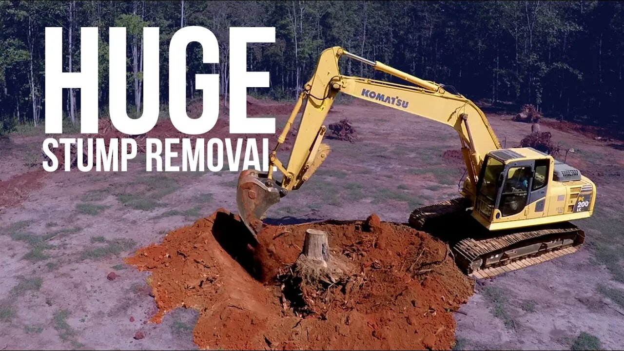 Huge Stump Removal | Forest to Farm