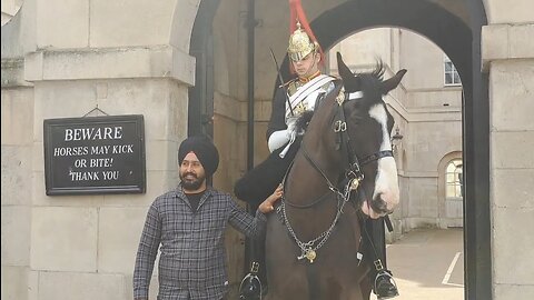 Kings guard keeps an eye on tourist touching #horseguardsparade