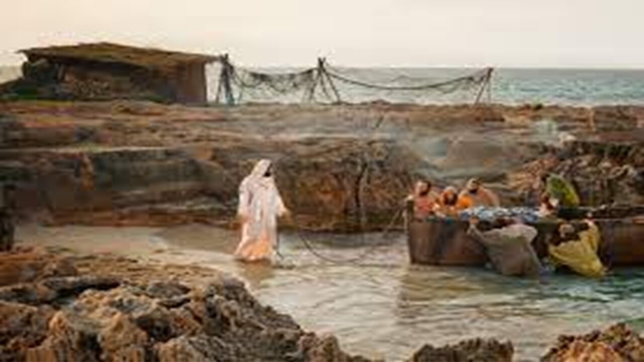 New Testament In A Year - Day 49