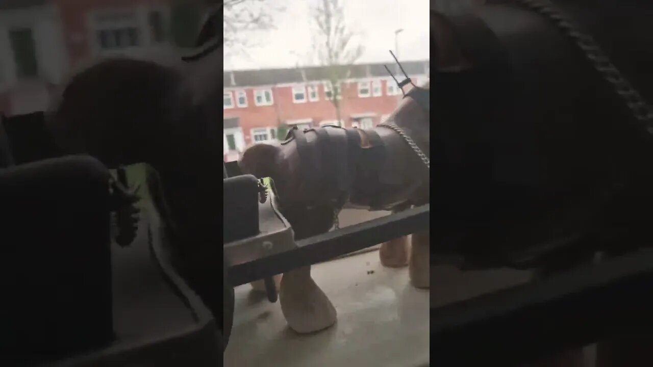 Still grey outside