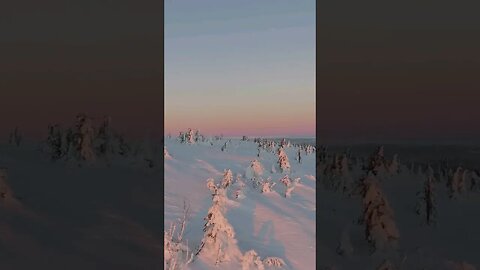 Sunset upon a snow covered landscape