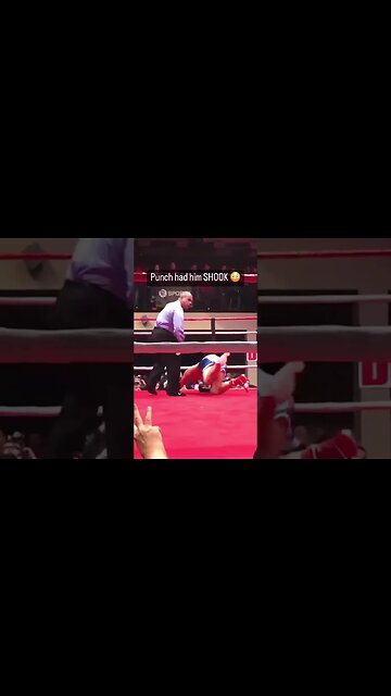 What a knockout via @bashboxing#boxing #boxe #boxingtraining #boxinghype #boxingday #sports #mma #