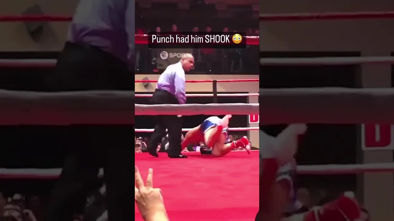 What a knockout via @bashboxing#boxing #boxe #boxingtraining #boxinghype #boxingday #sports #mma #