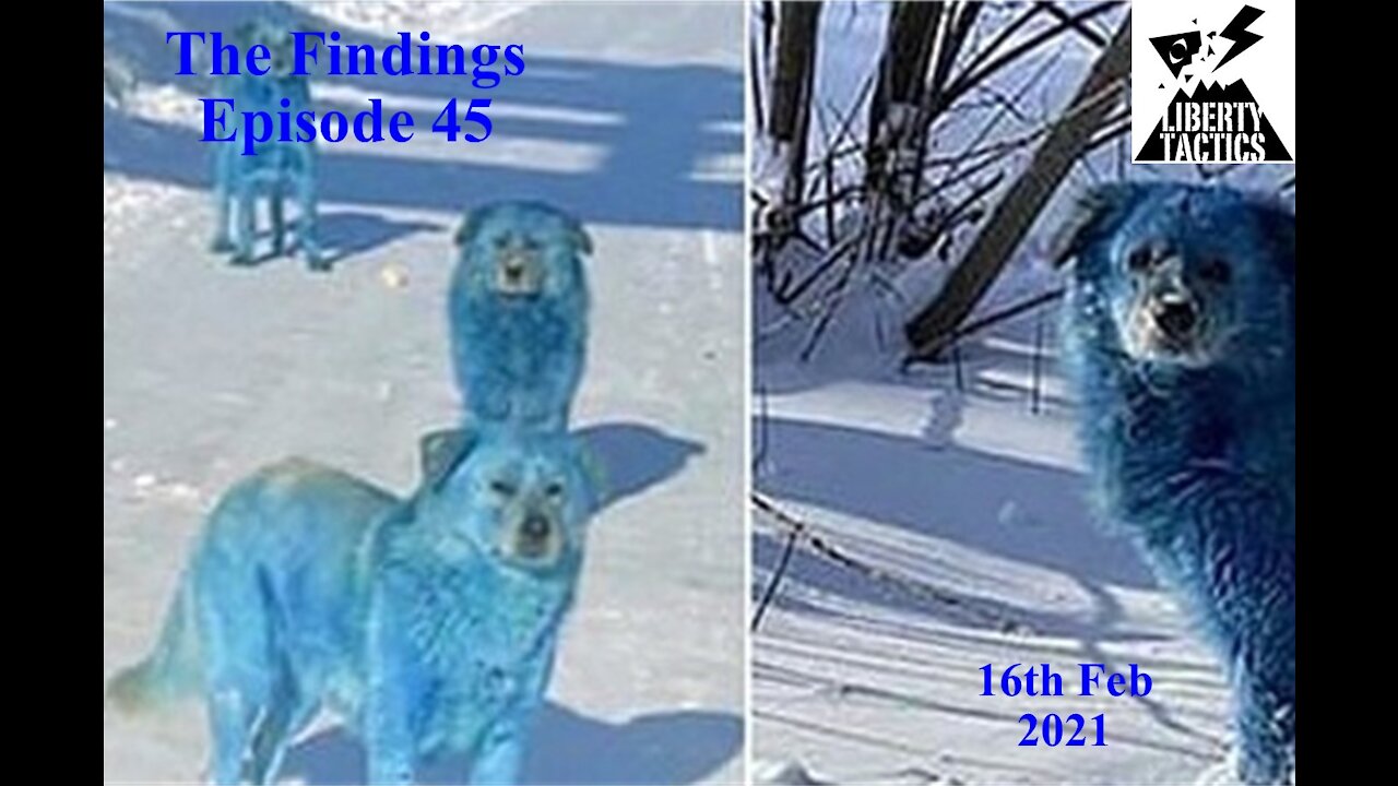 The Findings 45 Wokeness Storms Earthquakes & Blue Dogs 16-2-21