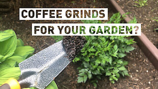 Are you throwing away a great gardening tool every morning?