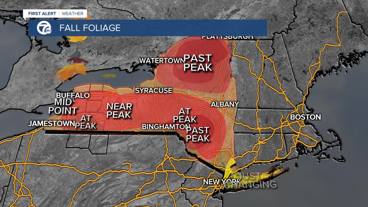 7 First Alert Forecast 1007 5PM