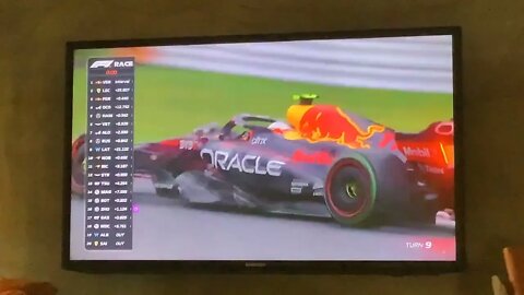 F1 Champion 2022, Japan GP, Max Verstappen Wins.