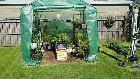 Backyard - Beer gardens pert near ready for tomorrow .