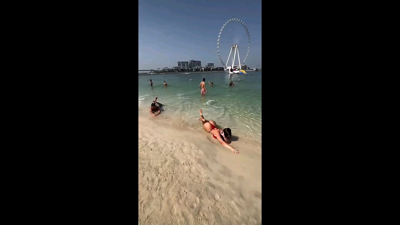 funny videos