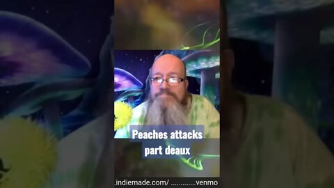 Peaches the cockatoo attacks stevers ear part 2