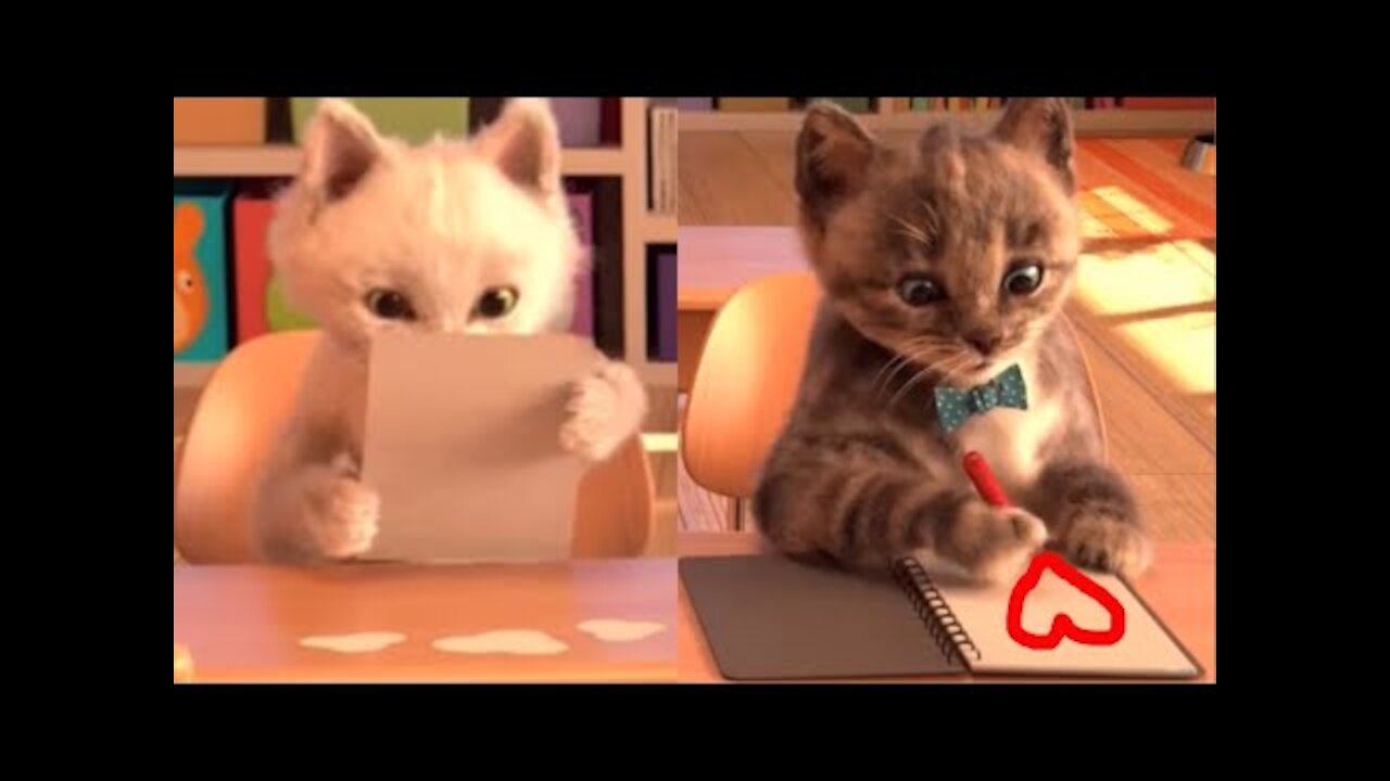 The Cat TOOK REAL LIFE, Kitten, LOVE LETTER! My favorite cat, fluffy kitten