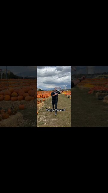 It’s Fall Y’all! #harvest #fall #family #familytime #pumpkinpatch #girldad