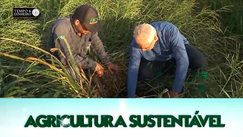 Agricultura Sustentável - com Frederico Olivi