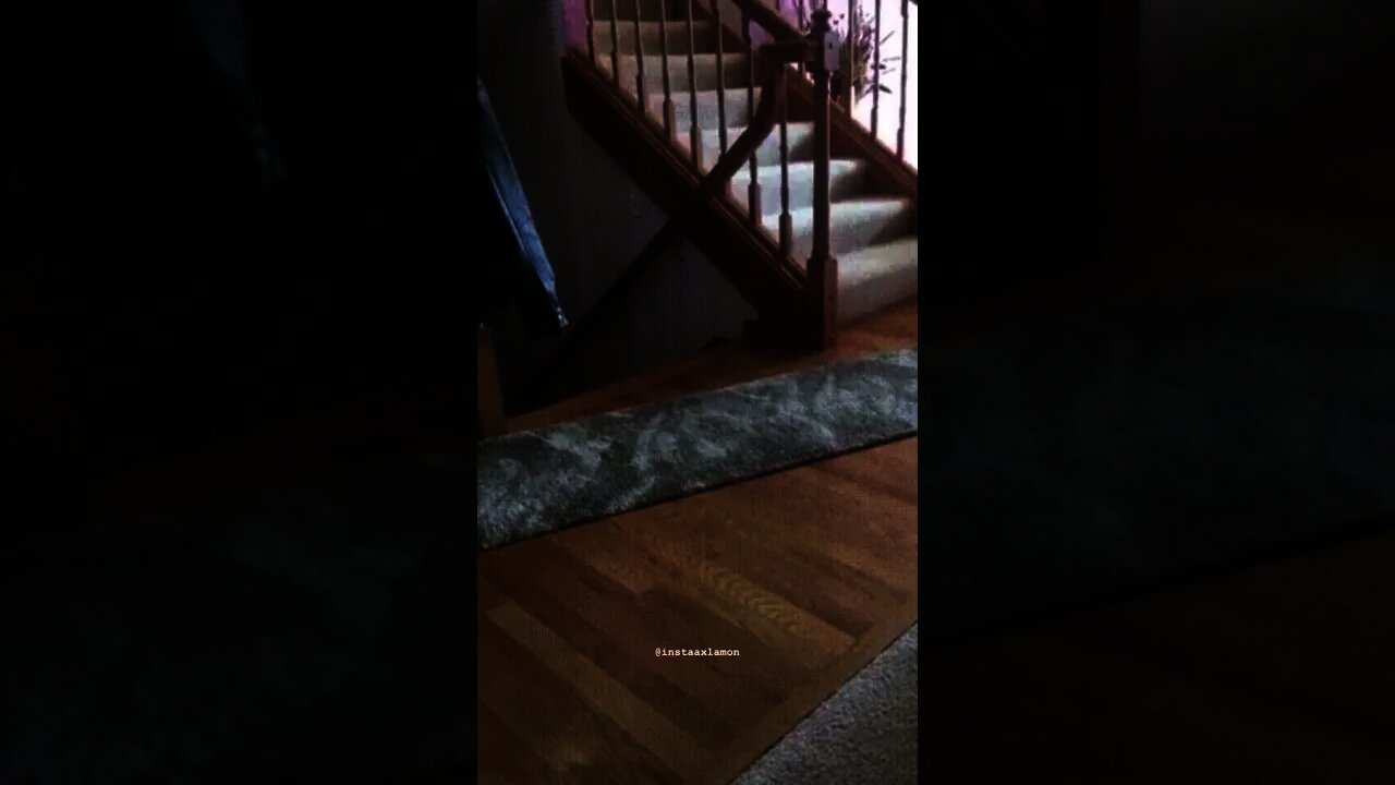 Wait for IT😂😸🐶