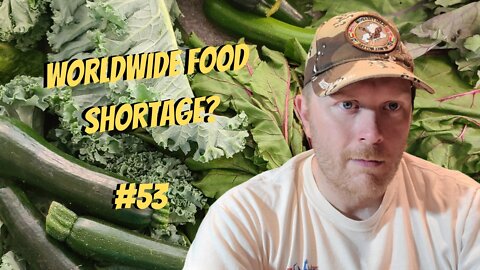 #53-Worldwide Food Shortage