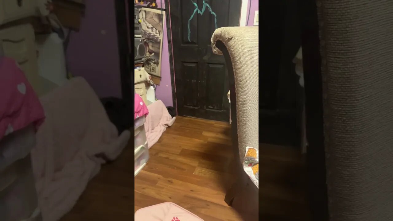 Perv.