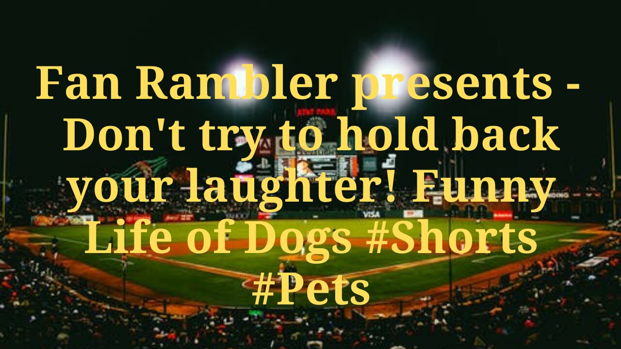 Don't try to hold back your laughter! Funny Life of Dogs #Shorts #Pets