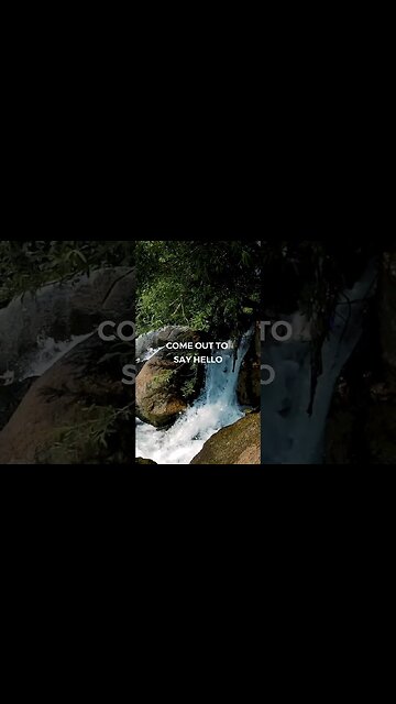 Listen to full meditations at Women's meditation network channel #meditation #sleep #shorts